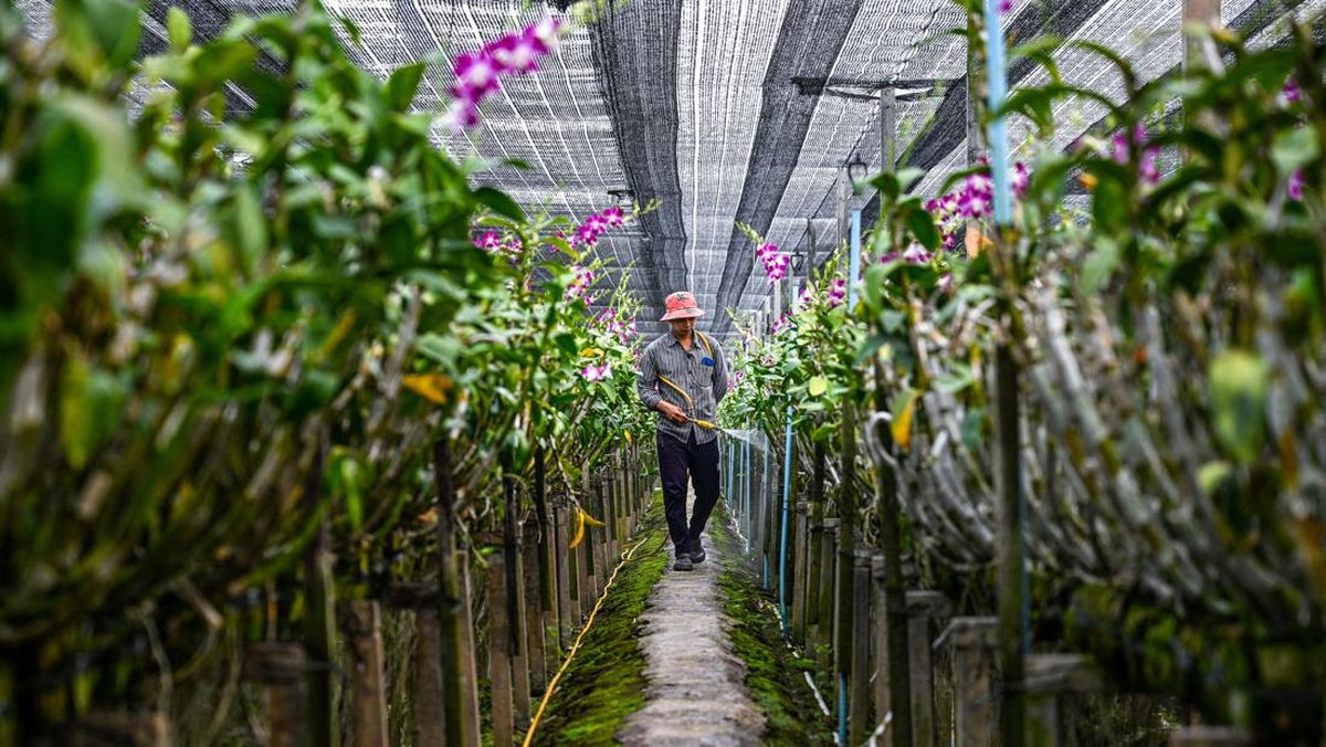 'Teknologi Pintar', Kunci Sukses Thailand Majukan Pertanian
