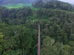 3 Jembatan Gantung di Jawa Tengah Rampung, ke Sekolah Makin Dekat
