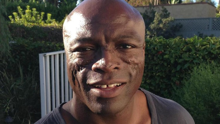 Seal Seal