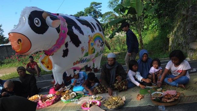 FOTO: Bersyukur Lewat Lebaran Sapi di Lereng Gunung Merapi