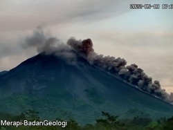 Gunung Merapi Muntahkan Awan Panas Sejauh 1,8 Km