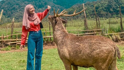 Detik Network
