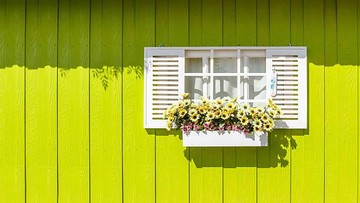 PILIHAN WARNA CAT DINDING LUAR RUMAH YANG CERAH MINIMALIS LAINNYA