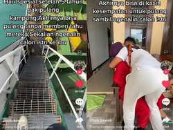 Viral Pelaut 5 Tahun Merantau Akhirnya Mudik, Beri Kejutan Bawa Calon Istri