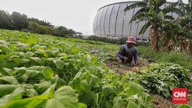 FOTO: Menanti Masa Depan Kampung Bayam di Kawasan JIS