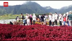 VIDEO: Menghitung Cuan Pelaku Wisata Saat Libur Lebaran