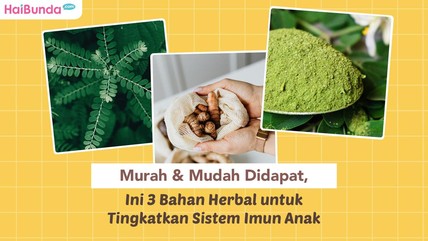 Detik Network