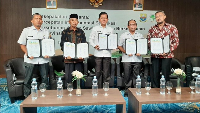 RSPO bersama Pemprov Jambi dan pemerintah kabupaten menjalin MoU untuk meningkatkan inklusi pekebun sawit dalam ekosistem berkelanjutan melalui skema ISPO.