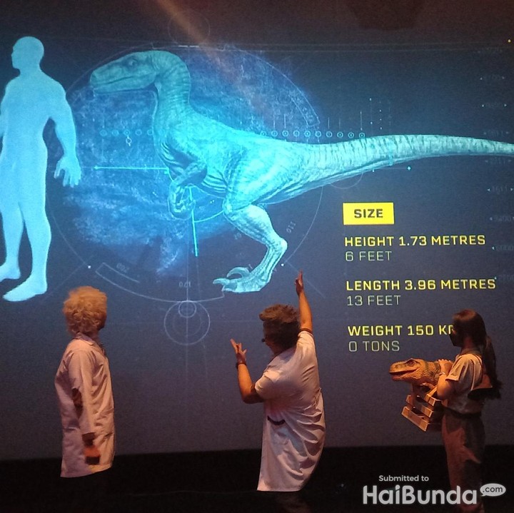<p><em>Jurassic Live Show</em> dipandu oleh pembawa acara dan dua profesor lucu mengundang gelak tawa pengunjung. Pertunjukan interaktif ini juga bisa jadi salah satu kegiatan sambil belajar. (Foto: HaiBunda/Firli)</p>