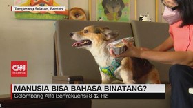 VIDEO: Manusia Bisa Bahasa Binatang?