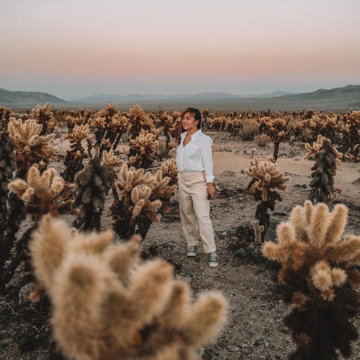 <p>Taman Nasional Joshua Tree adalah salah satu destinasi wisata yang indah di Amerika Serikat, Bunda. Area tersebut dipenuhi oleh pohon Joshua yang merupakan salah satu ciri khas di daerah tersebut. Foto: Instagram @indpriw)</p>