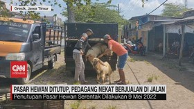 VIDEO: Pasar Hewan Ditutup, Pedagang Nekat Berjualan di Jalan