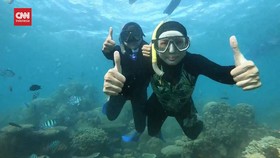 VIDEO: Memanjakan Mata Nikmati Keindahan Bawah Laut Pulau Karimun Jawa
