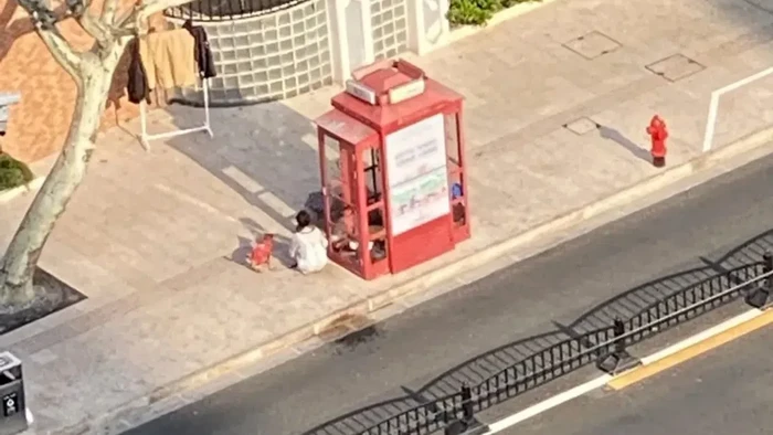 Sedih! Akibat Lockdown, Perempuan di Shanghai Ini Terpaksa Tinggal di Bilik Telepon Selama Sebulan Bersama Anjingnya! Sedih! Akibat Lockdown, Perempuan di Shanghai Ini Terpaksa Tinggal di Bilik Telepon Selama Sebulan Bersama Anjingnya!