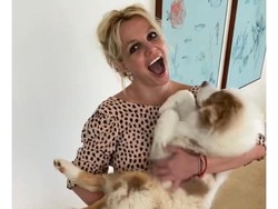 Britney Spears Berhenti Posting Foto Bugil demi Damai dengan Anak