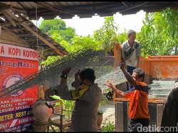 Banjir di Bojonegoro Sebabkan Tanggul Bengawan Solo Longsor