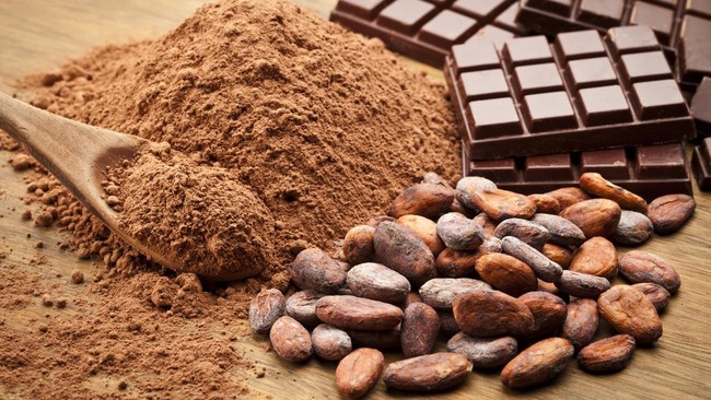 Coklat kini menjadi makanan yang digemari di dunia. Lantas siapa yang menemukannya pertama kali?