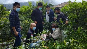 Petani Bali Kubur Uang Curian Jutaan Rupiah di Kebun Cabai