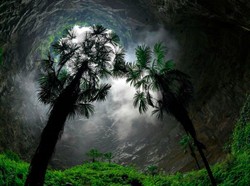 Wow! Ilmuwan Temukan Lubang Raksasa, Dalamnya Berisi Hutan Purba