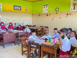 Teror Ular King Kobra di SD Parepare, Siswa ke Toilet Wajib Ditemani Guru