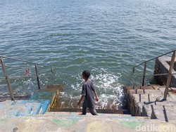 Invasi Ubur-ubur Bikin Pengunjung Pantai Mayangan Mengeluh Tak Bisa Berendam