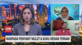 VIDEO: Waspada Penyakit Kuku & Mulut Hewan Ternak