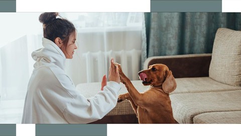 Do Animals Have Conscious Thoughts? Do Animals Have Conscious Thoughts?