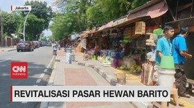 VIDE:: Revitalisasi Pasar Hewan Barito