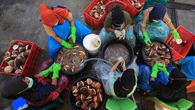 FOTO: Minyak Kelapa Pulau Simeuleu Tembus Pasar Luar Negeri