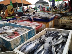 Buntut Video Viral di Pasar Kedonganan, Begini Langkah Diskop Badung