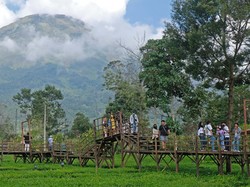 Agrowisata Tambi Wonosobo: Harga Tiket, Jam Buka hingga Daya Tariknya