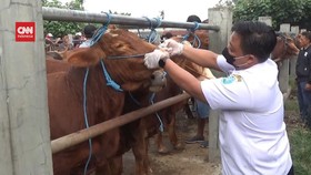VIDEO: Wagub Emil Sebut 3 Ribu Lebih Sapi di Jatim Kena PMK