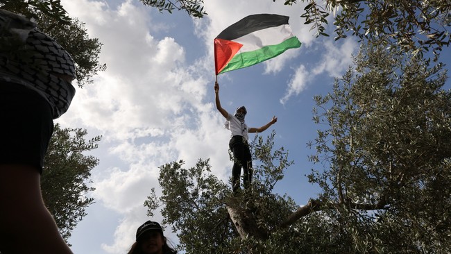 Ukraina merupakan salah satu negara pertama yang mengakui Palestina sebagai negara merdeka.