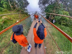 Buat yang Berani Saja, Menyusuri Jembatan Gantung Rengganis