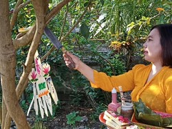 Tumpek Wariga, Tradisi Mengupacarai Pohon di Bali-Haturkan Bubuh Sumsum