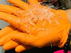 Begini Jurus KKP Berantas Mafia Benur Lobster