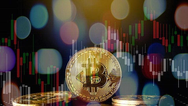 Harga mayoritas aset kripto dengan kapitalisasi pasar terbesar melesat naik pada Rabu (11/1) ini. Bitcoin tembus US.238 per koin.