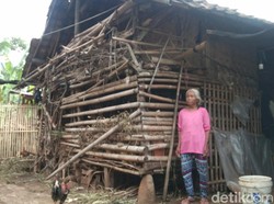 Tolong! Lansia Tinggal di Gubuk Reyot Berdempetan Kandang Kambing