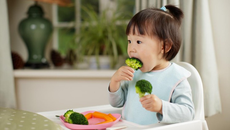 ilustrasi anak makan toddler girl eating healthy vegetable sitting on high chair beside a dinner table at home