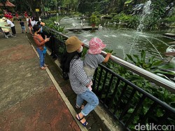 7 Rekomendasi Aktivitas di Hari Kemerdekaan RI Ke-77