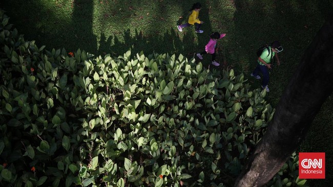FOTO: Angin Segar Tebet Eco Park, 'Primadona' Wisata Baru di Jakarta