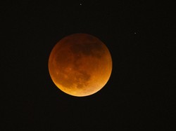Gerhana Blood Moon Akan Hadir di Tengah Ramadan, Ini Wilayah yang Bisa Saksikan