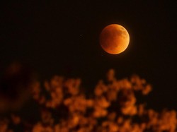Gerhana Bulan Total Maret 2025 Terjadi hingga 14 Maret, Ini Waktu dan Lokasinya