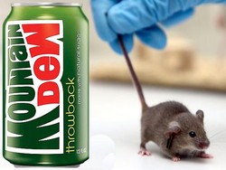 5 Temuan Paling Aneh dalam Makanan Ini Bikin Geli dan Ngeri!