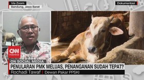 VIDEO: Penularan PMK Meluas, Penanganan Sudah Tepat?