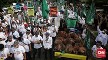 Petani Sudah Rugi Triliunan, Kapan Jokowi Cabut Larangan Ekspor CPO?