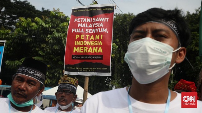 Petani sawit di 22 provinsi aksi dengan membakar tandan buah segar untuk memprotes kejatuhan harga yang dipicu kebijakan ekspor pemerintah yang berubah-ubah.