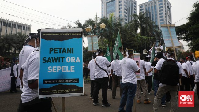 Petani sawit mengklaim rugi Rp30 triliun akibat kemelut harga dan kelangkaan minyak goreng belakangan ini. Kerugian juga disebabkan kejatuhan harga sawit.