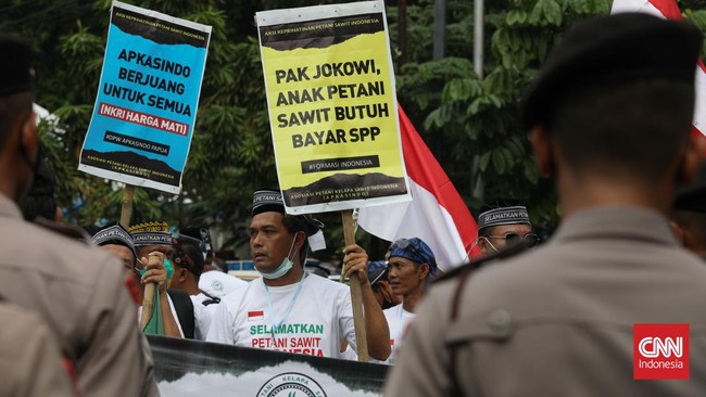 Petani kelapa sawit menyampaikan salah hormat dan terima kasih kepada Jokowi usai larangan ekspor CPO dan minyak goreng dicabut presiden mulai Senin (23/5).