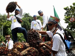 Sindiran Petani Sawit ke Airlangga yang Nggak Nongol saat Didemo